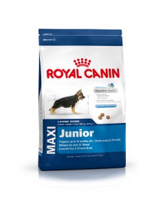 Royal Canin Maxi Junior 15 kg.